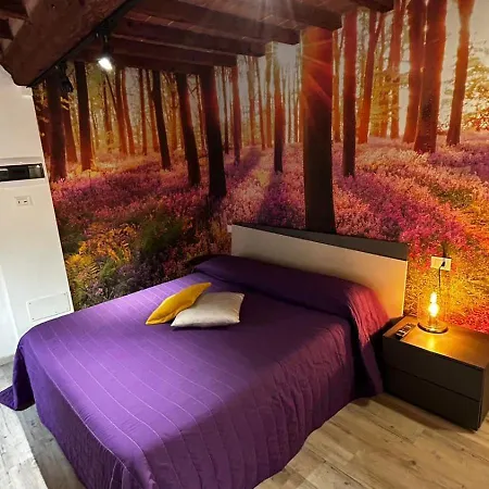 Couette-café Smartroom Lula